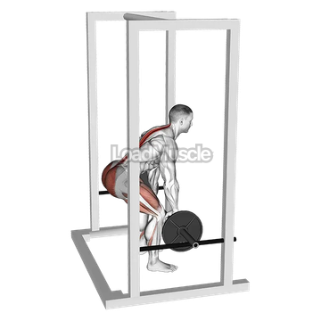 Barbell Rack Pull