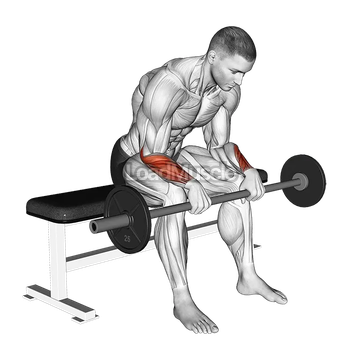 Barbell Revers Wrist Curl