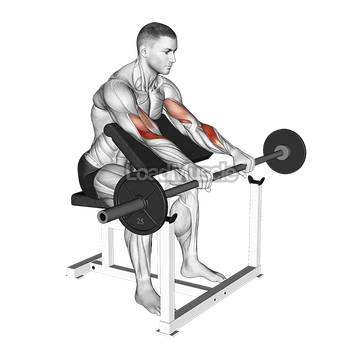 Barbell Reverse Preacher Curl