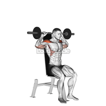 Barbell Seated Bradford Rocky Press