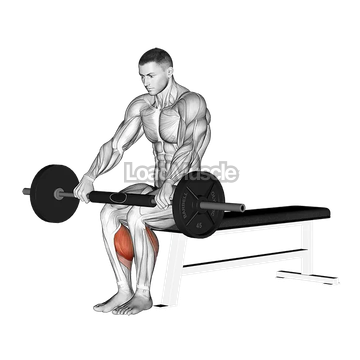 Barbell Seated Calf Raise