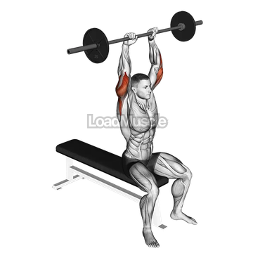 Barbell Seated Overhead Triceps Extension