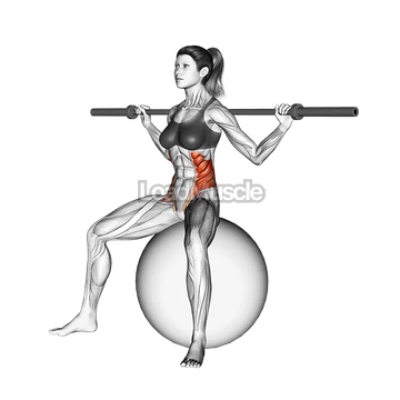 Barbell Seated Twist (on stability ball)