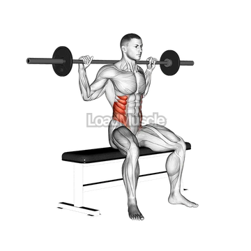 Barbell Seated Twist