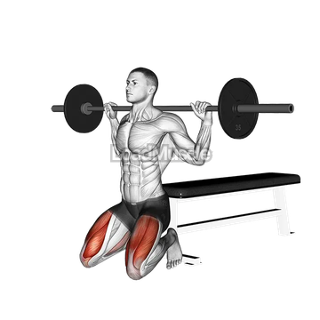 Barbell Squat (on knees)
