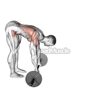 Barbell Standing ab rollout