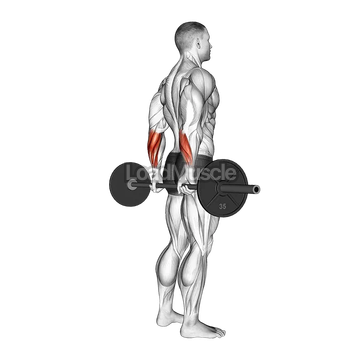 Barbell Standing Back Wrist Curl