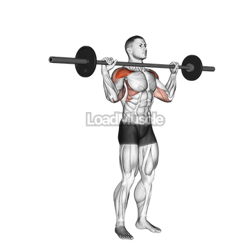 Barbell Standing Bradford Press