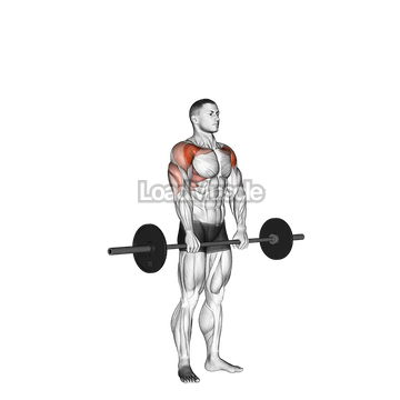 Barbell Standing Front Raise Over Head