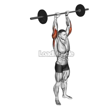 Barbell Standing Overhead Triceps Extension