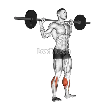 Barbell Standing Rocking Leg Calf Raise