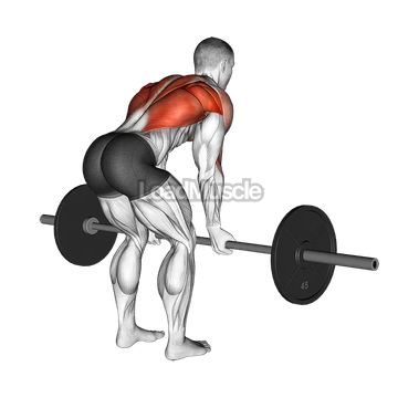 Barbell Reverse Grip Bent over Row