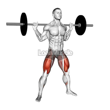 Barbell Wide Squat