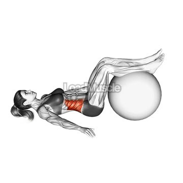 Bent knee Lying Twist (On Stability Ball)