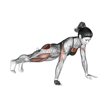 Bent Side Knee Push up