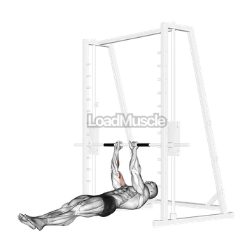 Brachialis Narrow Pull ups