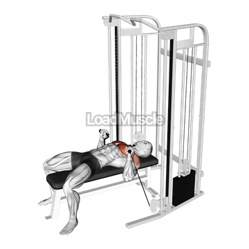 Cable Bench Press