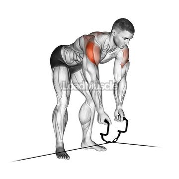 Cable Cross over Revers Fly