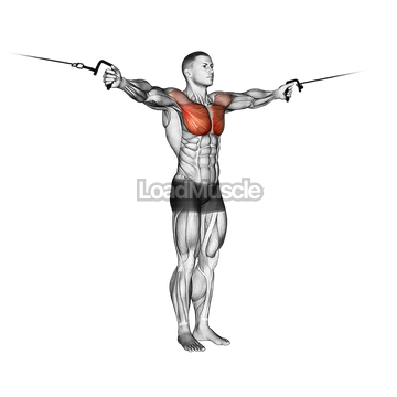 Cable Crossover Variation
