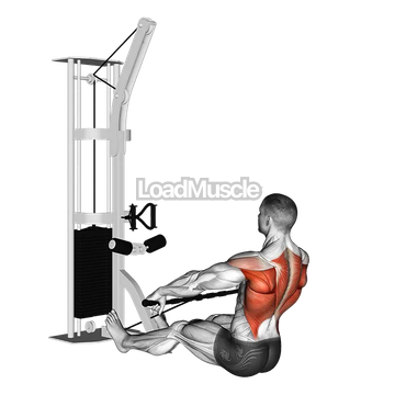 Cable Floor Seated Wide grip Row
