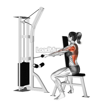 Cable Front Seated Row