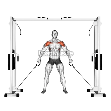 Cable Front Shoulder Raise
