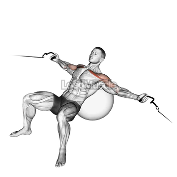 Cable Incline Fly (on stability ball)