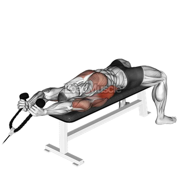 Cable Lying Extension Pullover (with rope attachment)