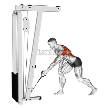 Cable One Arm Bent over Row