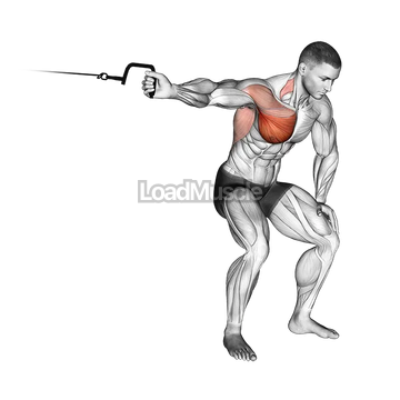 Cable One Arm Lateral Bent over