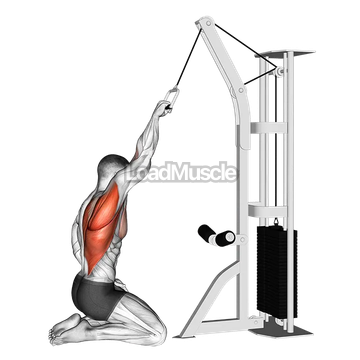 Cable One Arm Straight Back High Row (kneeling)