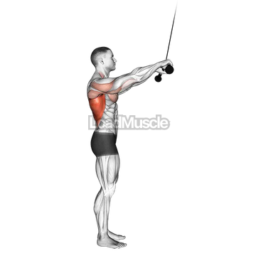 Cable Pushdown (straight arm)
