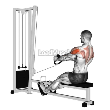 Cable Rear Delt Row (stirrups)