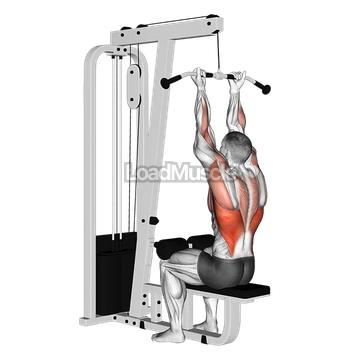 Cable Reverse grip Straight Back Seated High Row