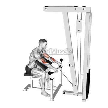 Cable Reverse Preacher Curl