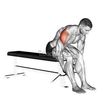 Cable Seated Rear Lateral Raise