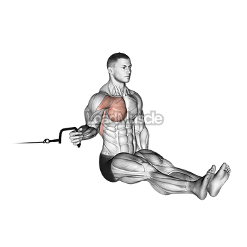 Cable Seated Shoulder Internal Rotation