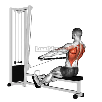 Cable Seated Wide grip Row