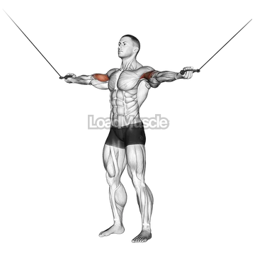 Cable Standing Inner Curl