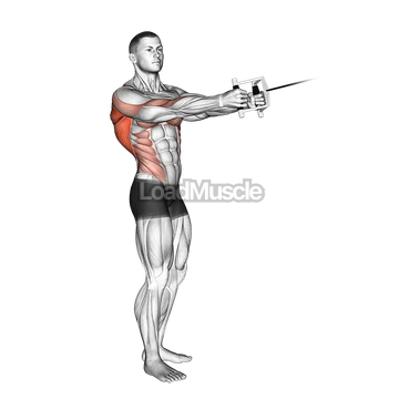Cable Standing Twist Row (V bar)