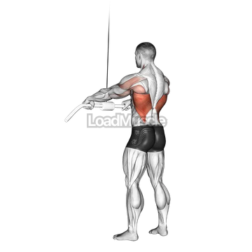 Cable Straight Arm Pulldown