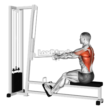 Cable Straight Back Seated Row