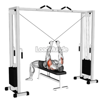 Cable Supine Reverse Fly