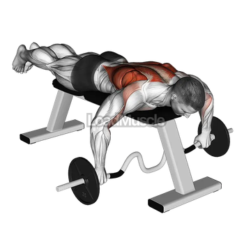 Cambered Bar Lying Row