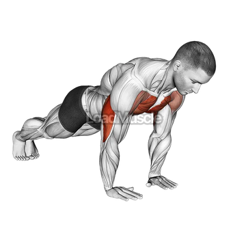 Close Grip Push up