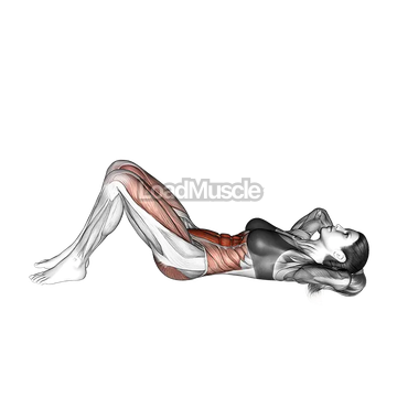 Crunch (leg raise)