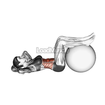 Crunch (legs on stability ball)