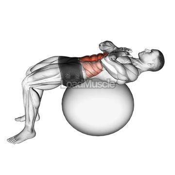 Crunch (on stability ball)