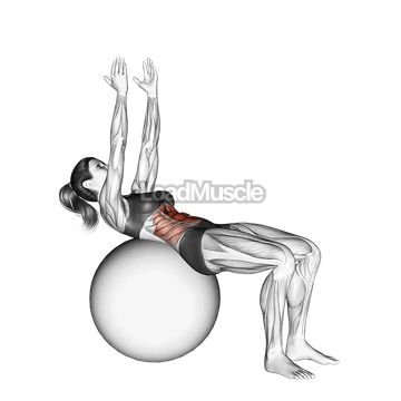 Crunch (on stability ball, arms straight)