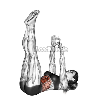 Crunch (straight leg up)